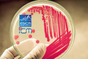 Clinical outcome of critically ill cirrhotic patients with invasive candidiasis