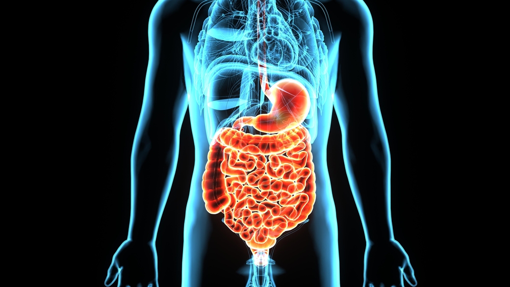 What impact did the IAH/ACS guidelines have?