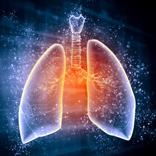 Prognostic value of early measures of ventilatory ratio