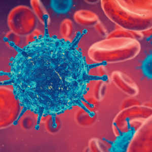 infect-fello-Bayer
