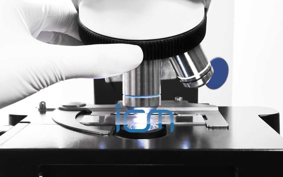 SPECIAL ISSUE ~ The ICM Research Agenda