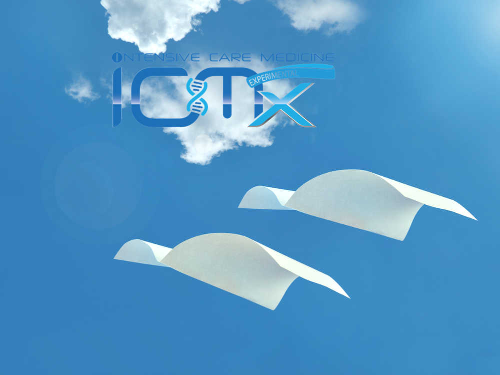 ICMx ~ Your Newest ONLINE Articles