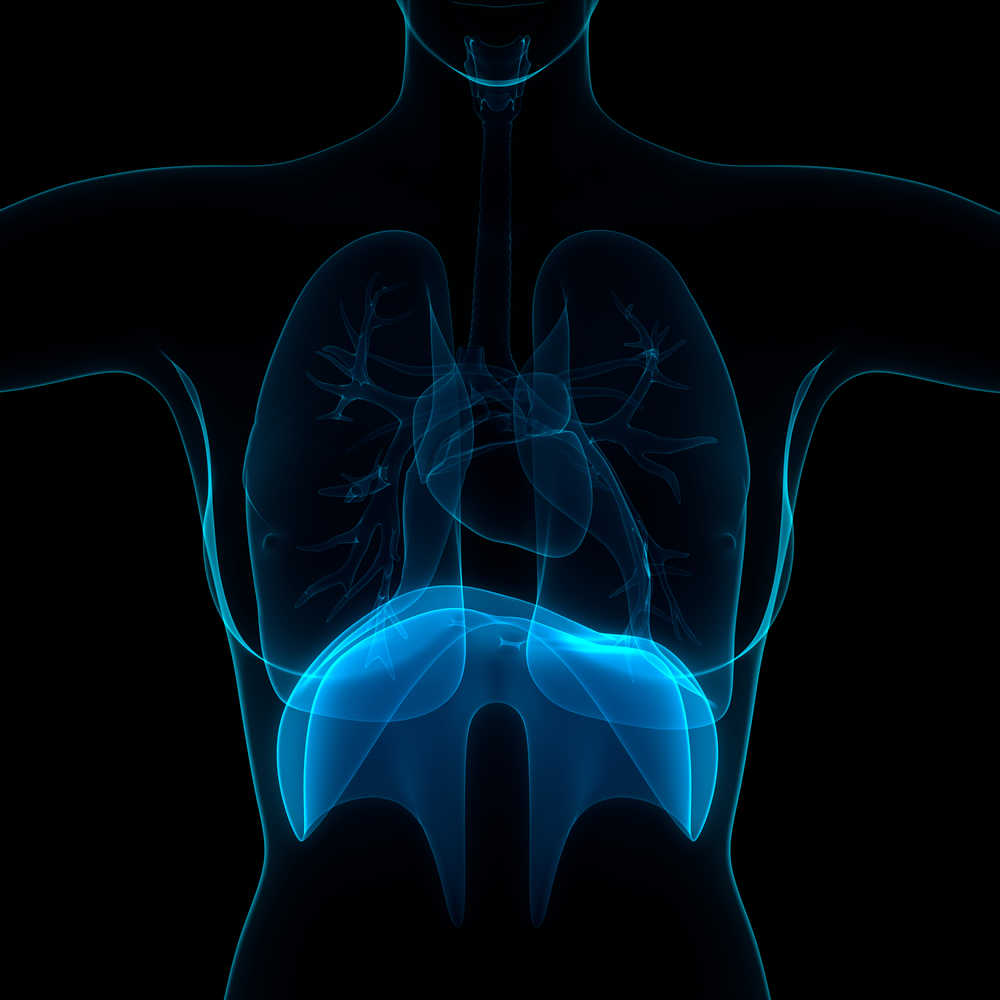 Diaphragm weakness in the ICU: What do we know?