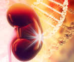 Can KDIGO panel guidelines prevent cardiac surgery-associated AKI?