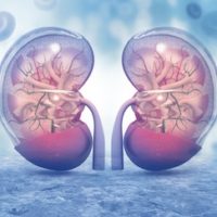 KIDNEY PASTELS SQUARE KIDNEY PASTELS SQUARE