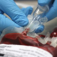 BLOOD TRANS BAGshutterstock_77757421 copy BLOOD TRANS BAGshutterstock_77757421 copy