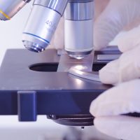 microscope fingershutterstock_152879756 copy microscope fingershutterstock_152879756 copy