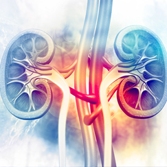 Renal Replacement Therapy in ICU <br> State of the Art Master Class – 12-13 May 2020