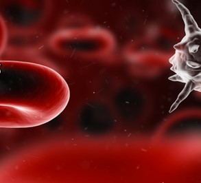 Incidence and risk factors of AKI for critically ill men and women with sepsis