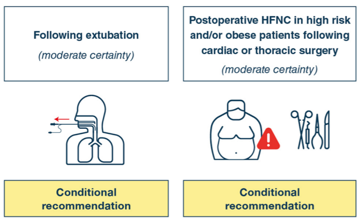 High Flow Nasal Cannula in adult patients: a review of practice clinical guideline