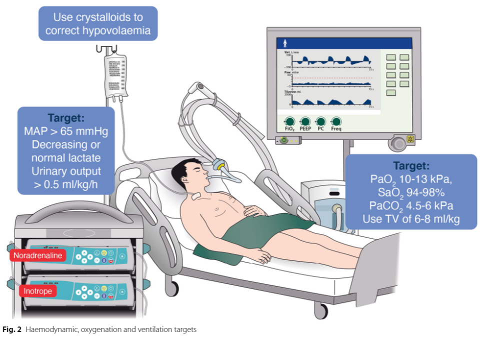 Just published: 2021 ERC & ESICM guidelines on post-resuscitation care