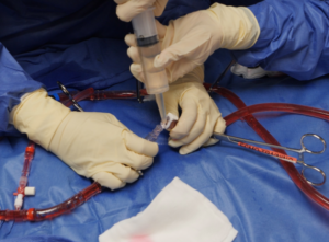 Advanced Course in ECLS/ECMO (June, 2025)