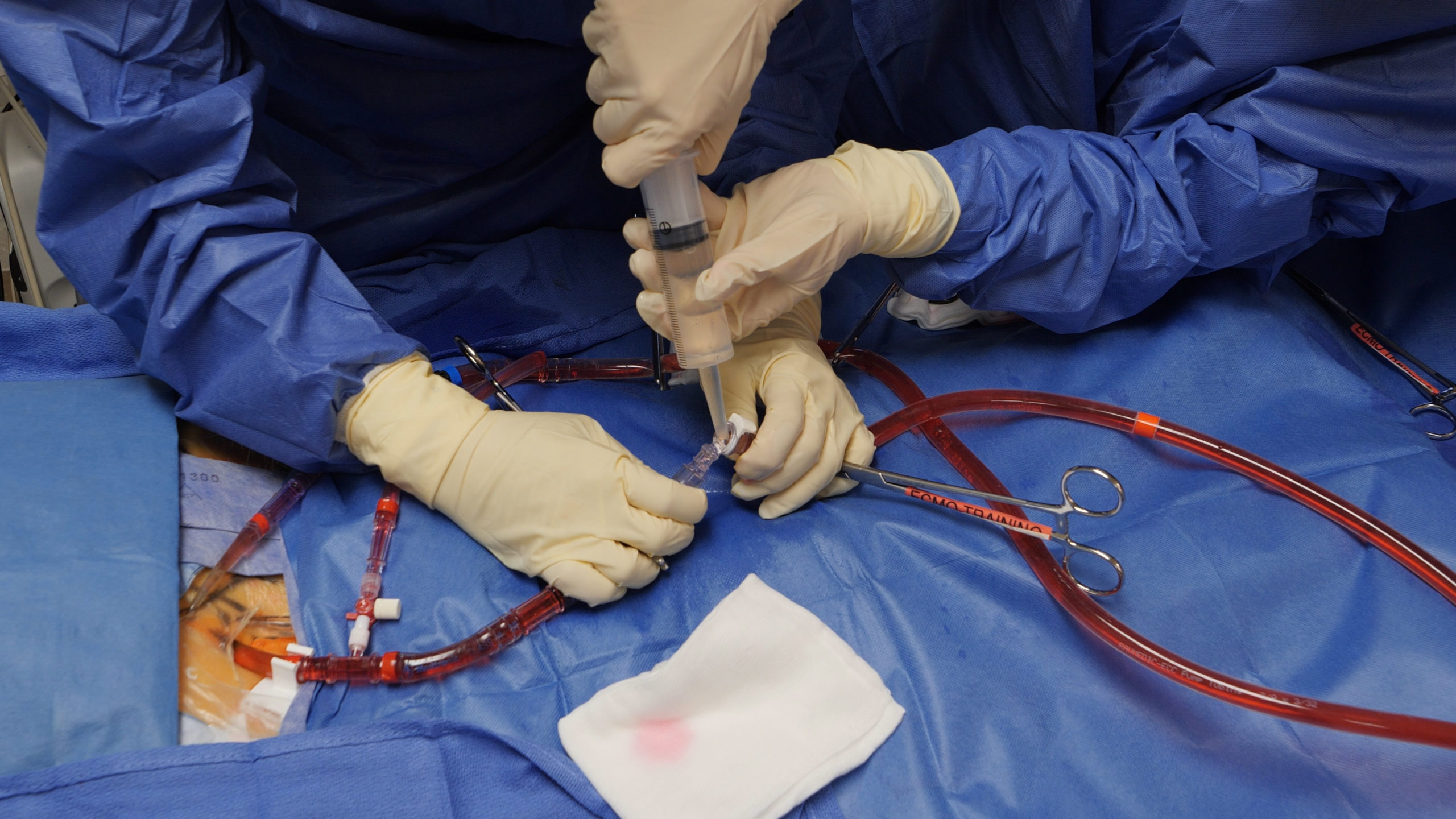 Advanced Course in ECLS/ECMO
