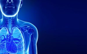 Transition Course in Acute Respiratory Failure & Mechanical Ventilation (June, 2025)