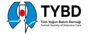 Turkish Society