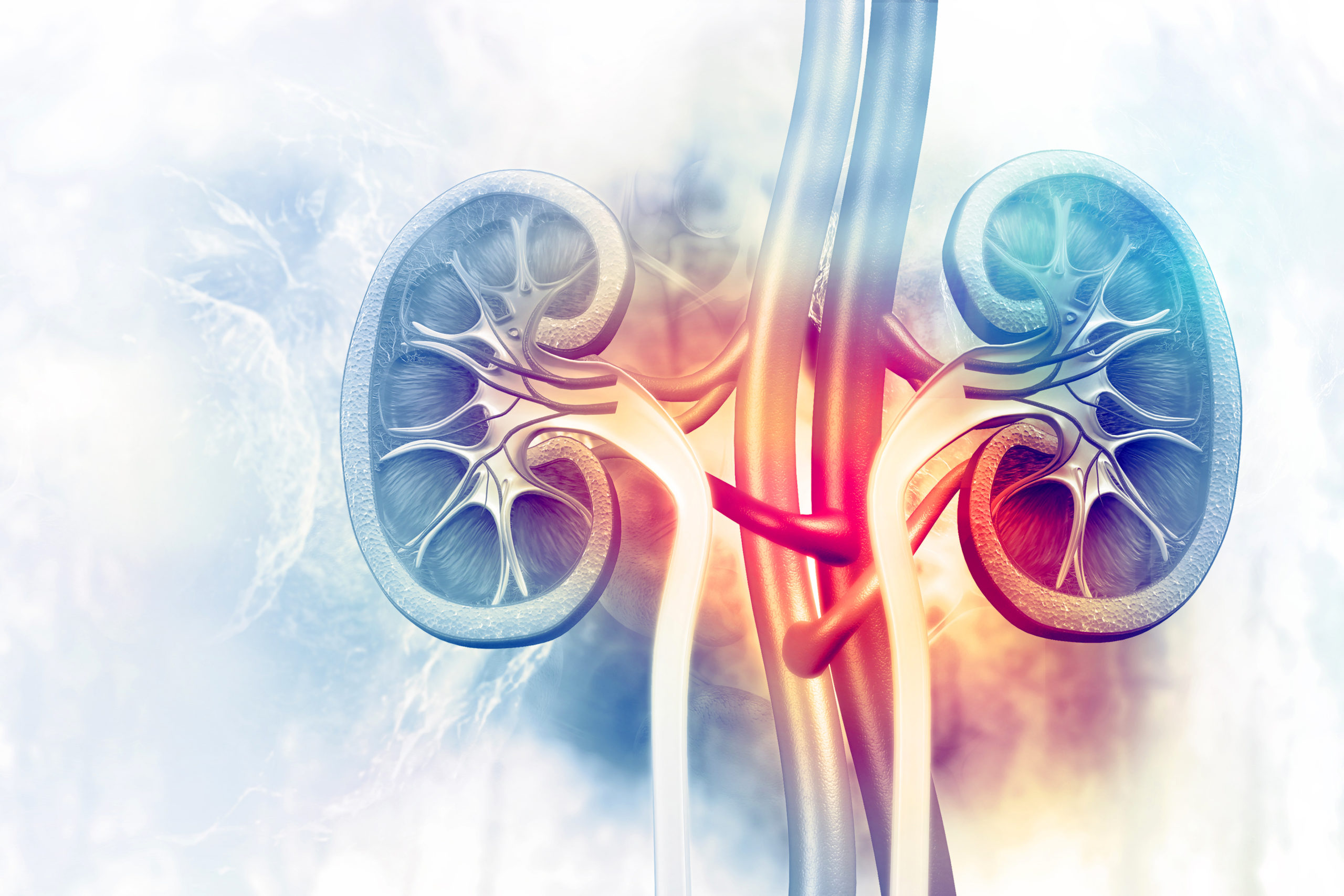 Intensive Care Nephrology Pathway