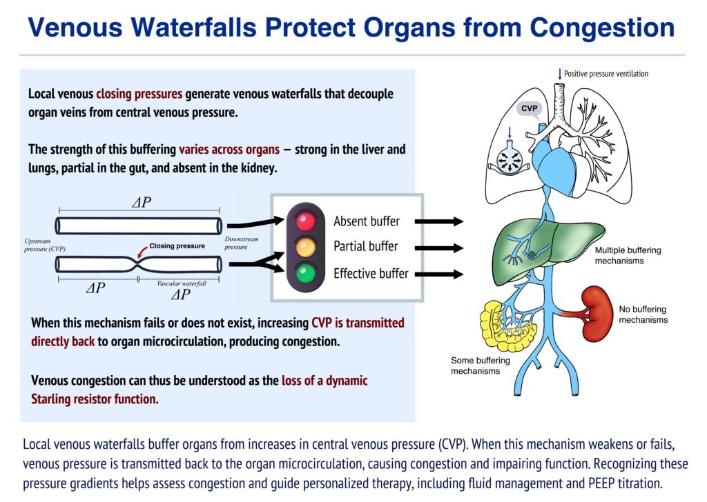 ICMx – Article of the week