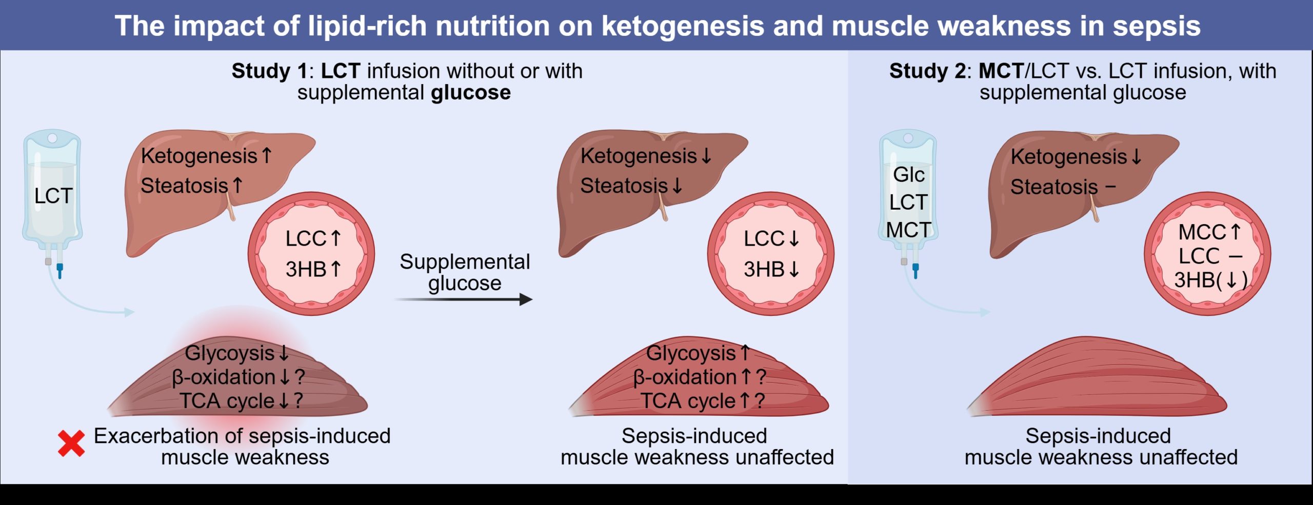 ICMx – Article of the week