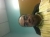 Profile picture of Medhat