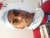 Profile picture of Suresh